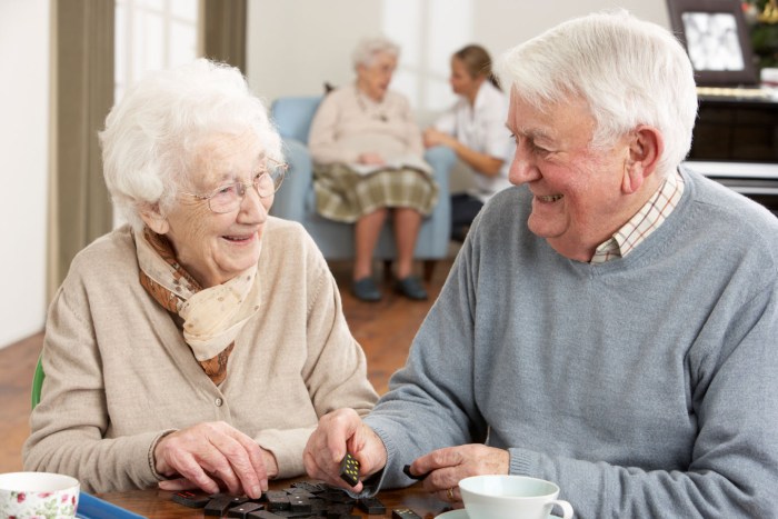 Beautiful house for the elderly