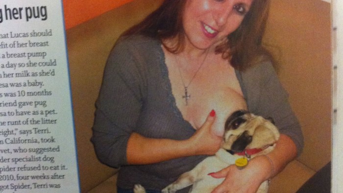 Lady Breastfeeding Puppy