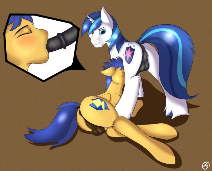 Sanset Shimmer Flash Sentry XXX