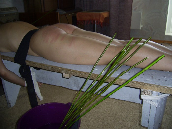 Erotic flogging with rods