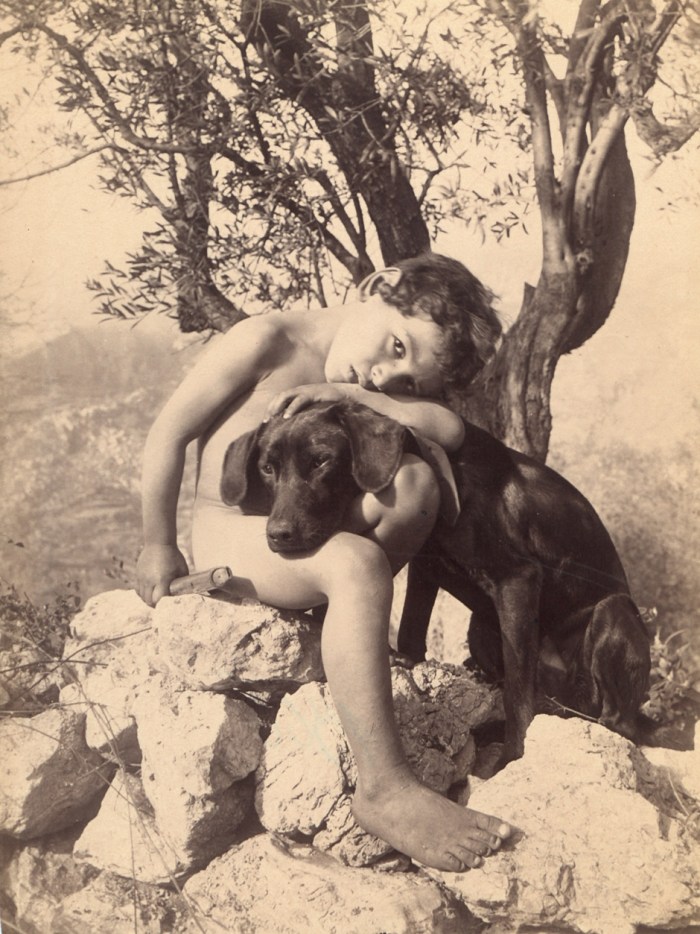 Wilhelm von Galeda boys