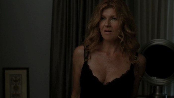 Connie Britton American History