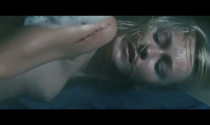 Svetlana Nemolyaeva Fate of man