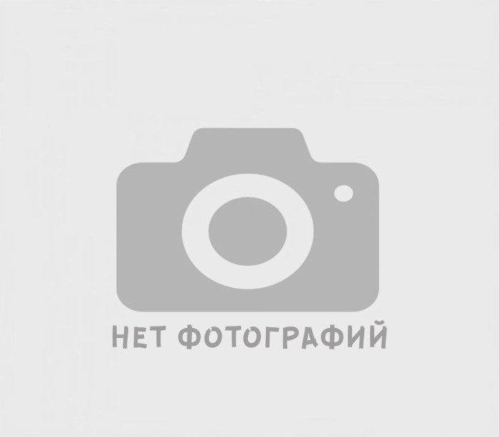 Svetlana Nemolyaeva photo