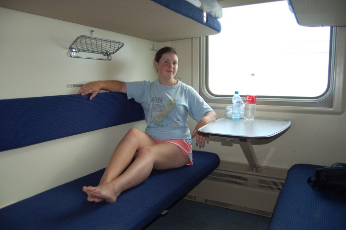 Women's legs on the train