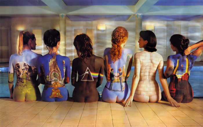 Bodiart Pink Floyd