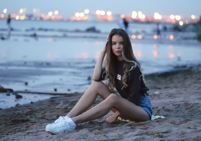 The circuit diagram of the cat