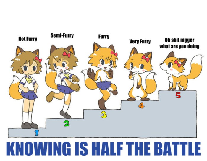 Furry's evolution