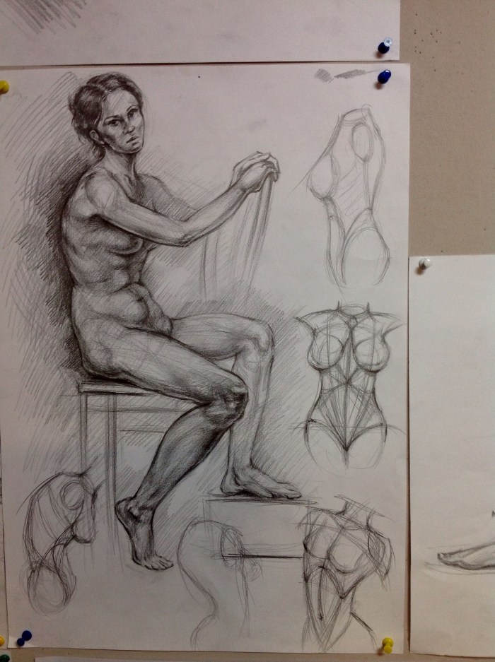 Anatomical sketches of human figures