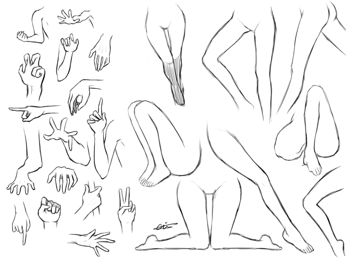 Positions of the legs for drawing