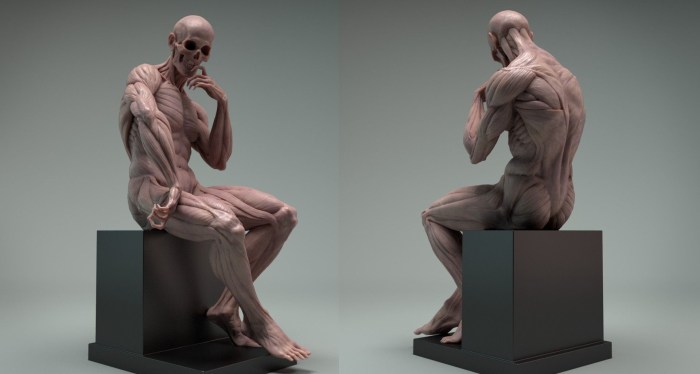 Human anatomy sculpture