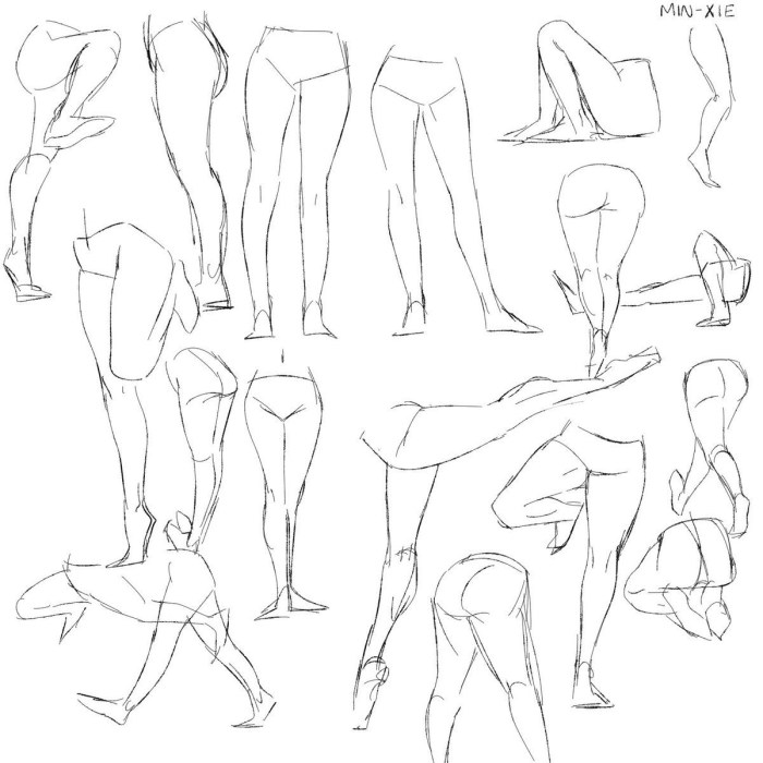Positions of the legs for drawing