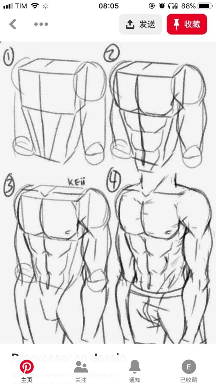 Male body drawing lessons