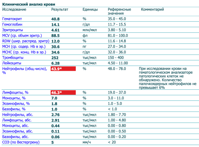Corpses after a shootout