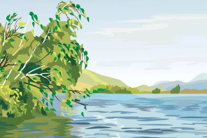 Platelet settlement rate norm norm