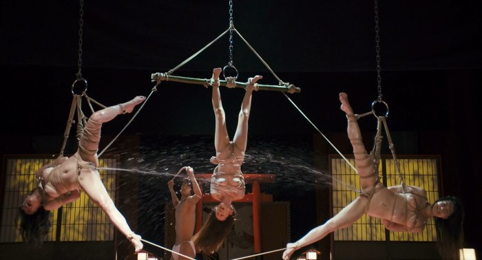 Amanda Palmer striptease