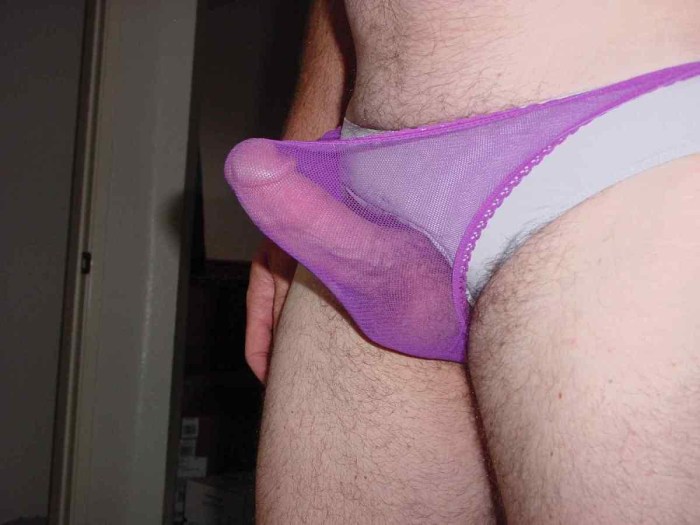 Swhssy Penis Hairy In Panties
