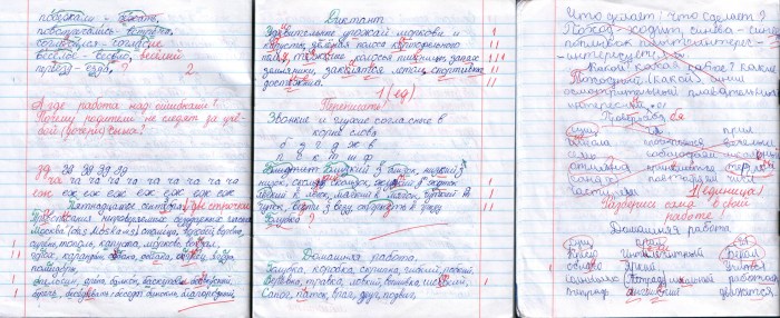 The student’s notebook