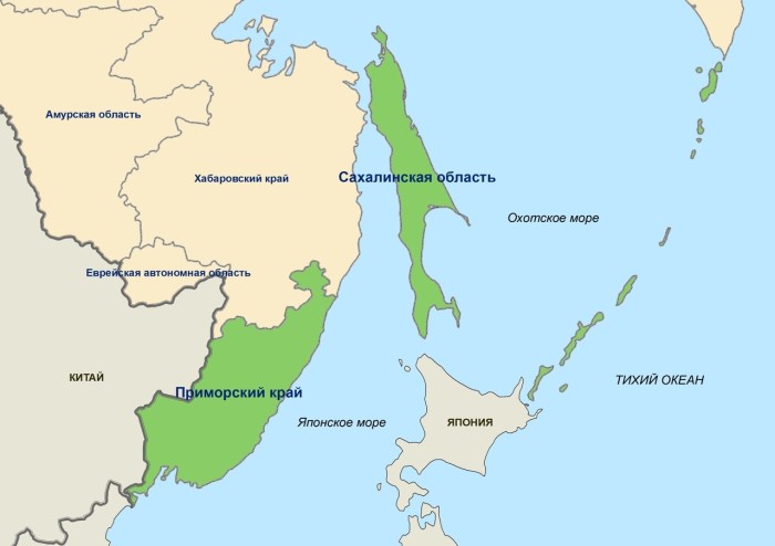Sakhalin bridge for the mainland project