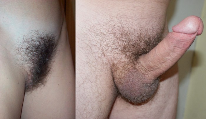 Member in hairy pussy large