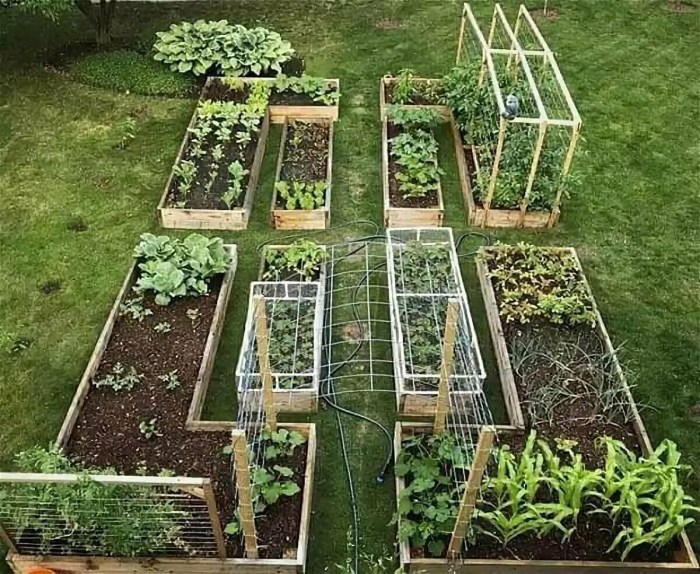 The lazy garden of Permaculture