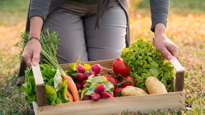 Seat on a white background