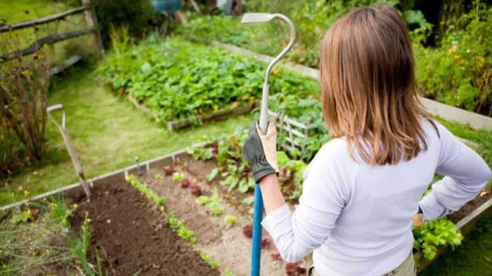 Pensioners in the garden