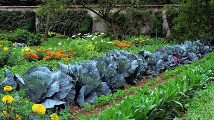 Basmati rice with vegetables