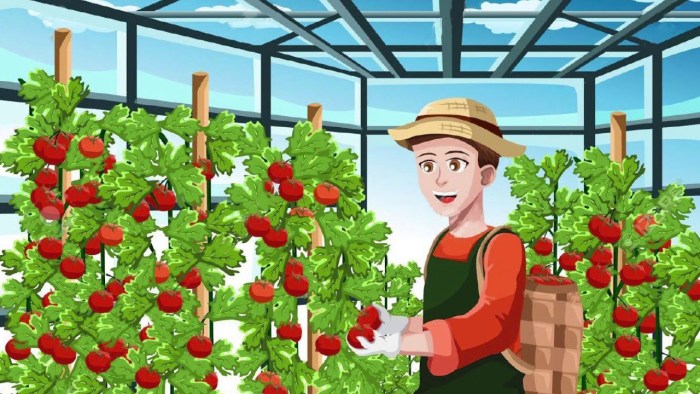 Chemical diet of Osama Hamdiy for 4 weeks menu table