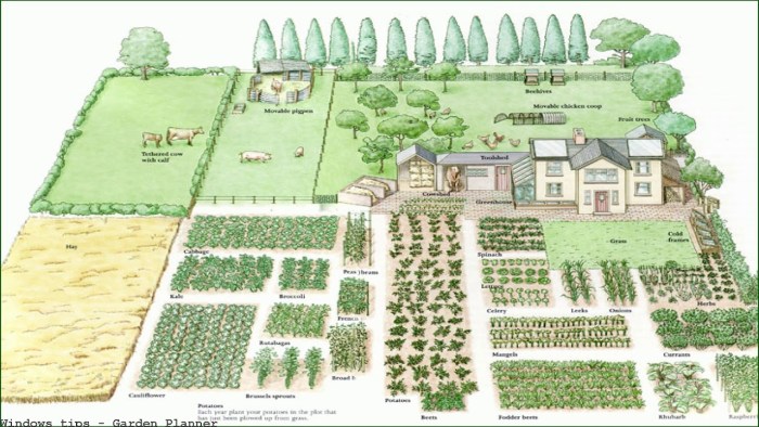 A woman in the garden