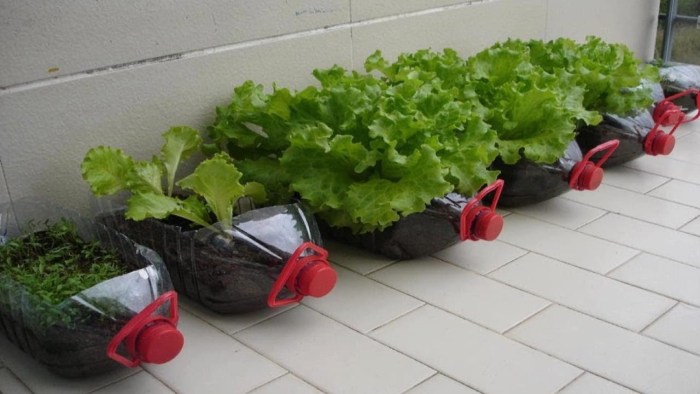 Frute and vegetables, well