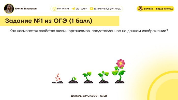 Elena Zelenskaya on Ava OGE in biology in pocket