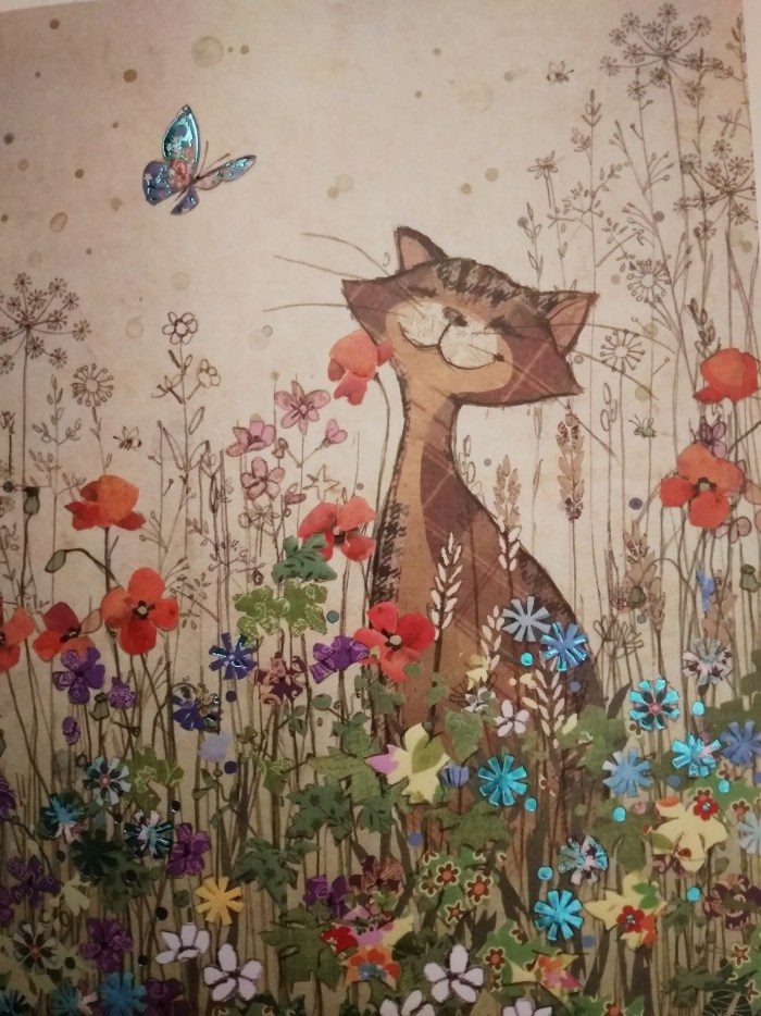 Prefix von in German surnames