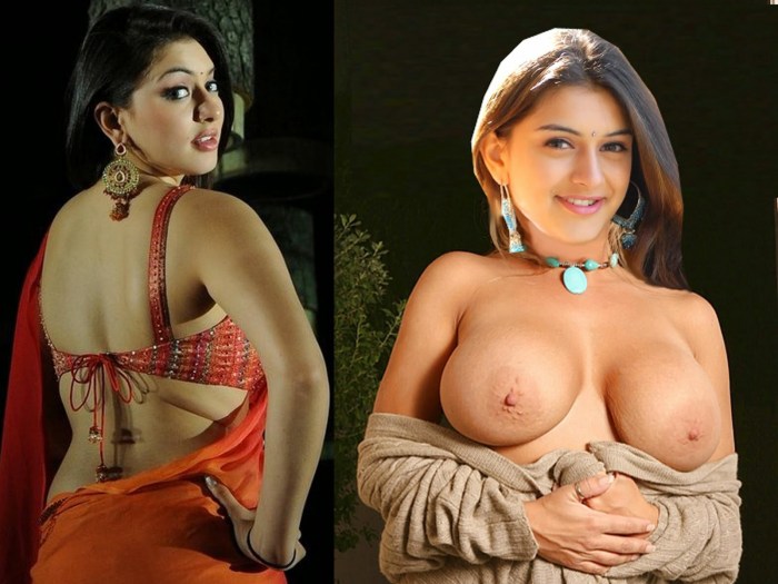 XXX Indian actresses Madhuri Dikshit