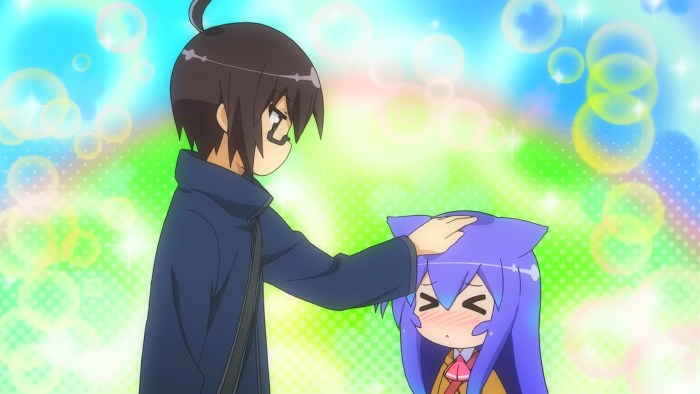 The resume of the programmer