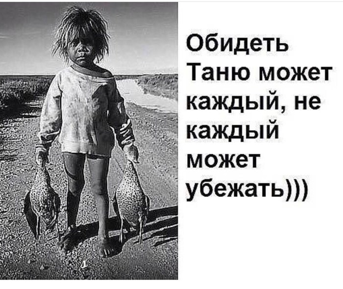 Wise quotes with humor