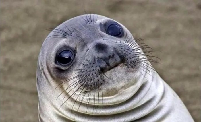 Loading on a black background