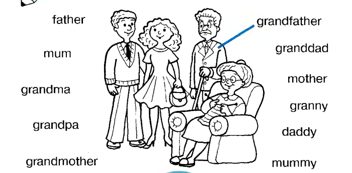 Saimin Seishidou Reina Kuroshiki