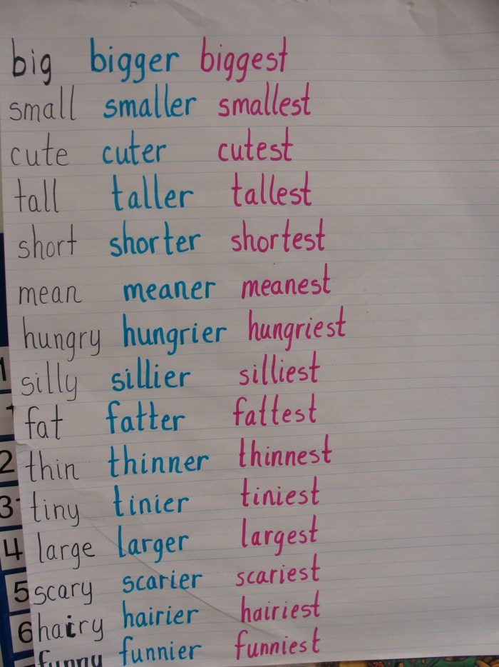 Girls show their pussy