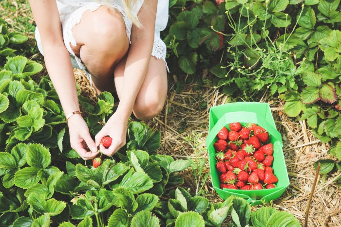 Photo by Elena Starostina Naked