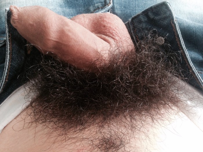 Hairy dick in bed