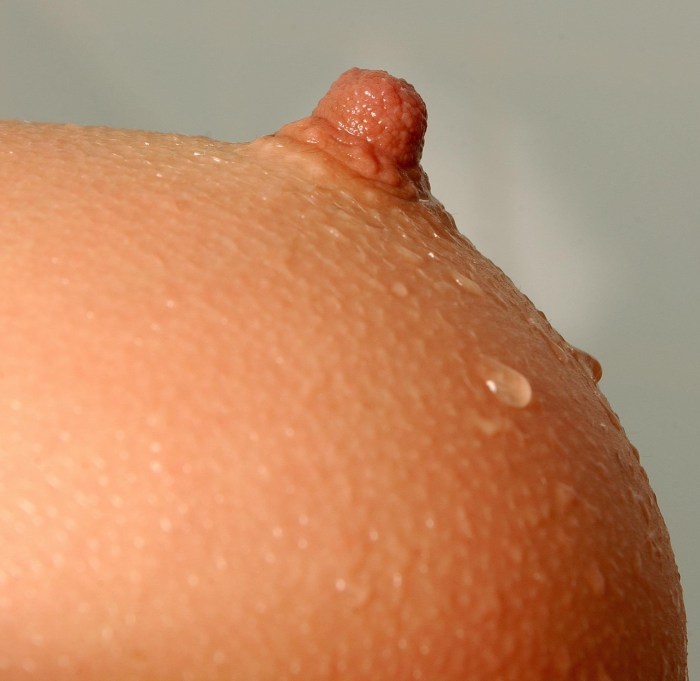 Women's nipples close -up
