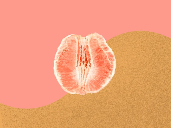 The average size of a female vagina