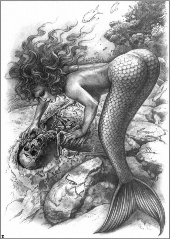 Erotic drawings of mermaids