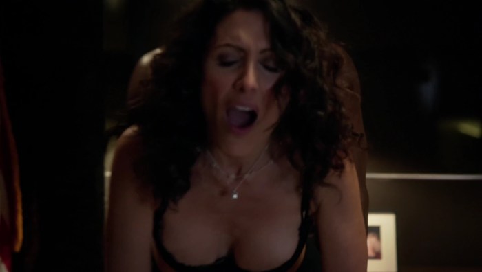 Lisa Edelstein Lying House