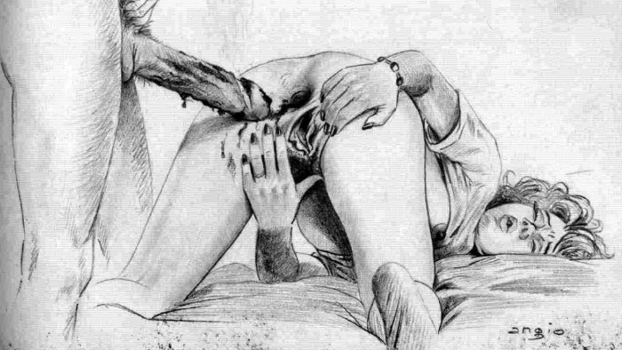 Pornographic drawings