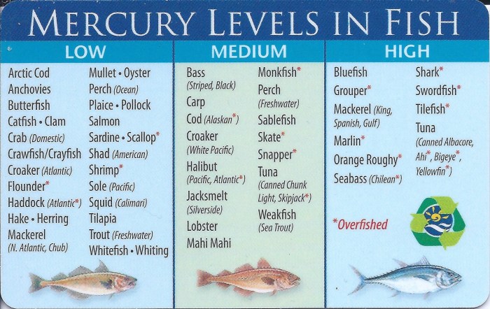 Busty Spaniard Putalocura