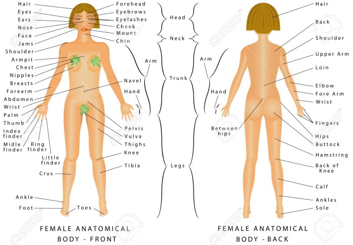 The sluts are the finished private