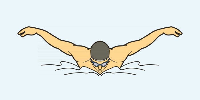 Batterfly vector swimmer