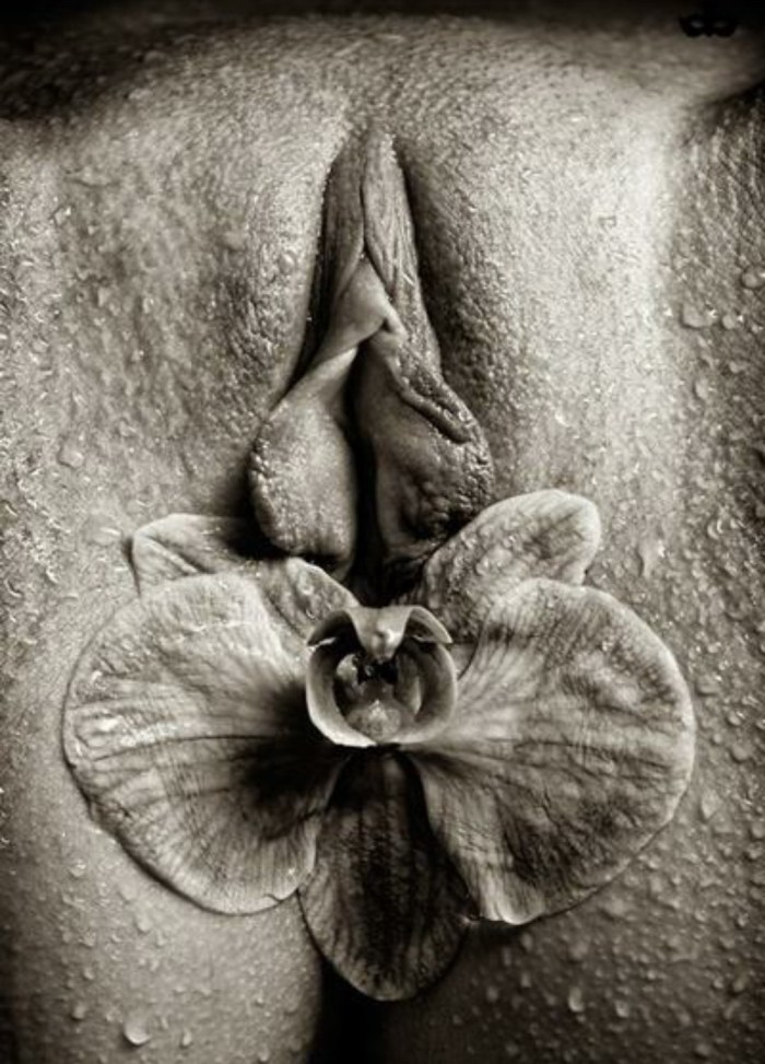 Group photo shoot in the style of nude